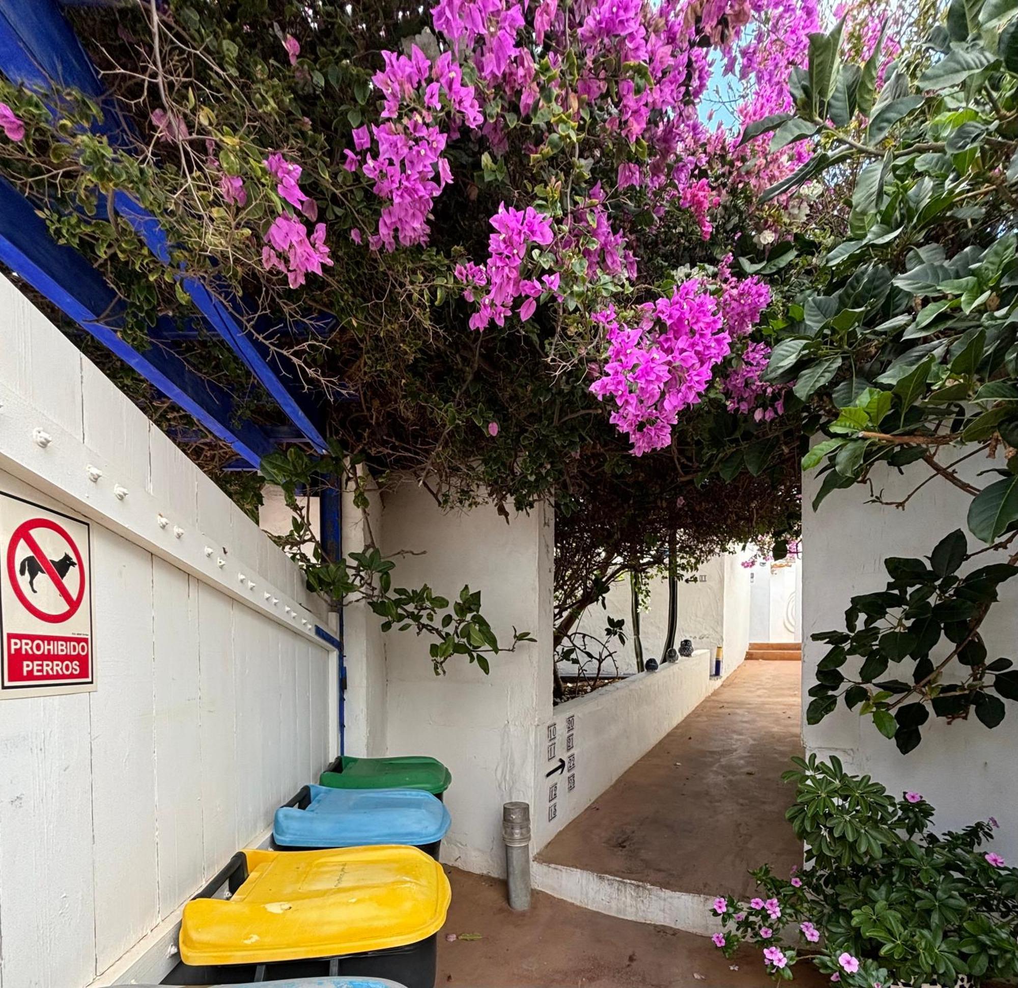 Apartamentos Y Habitaciones Villa Marina La Caleta  Exteriör bild