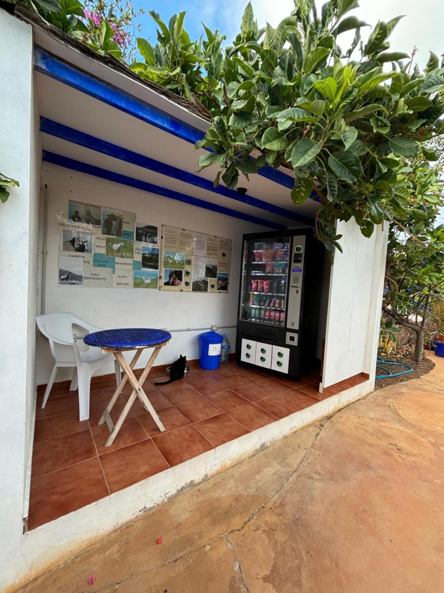 Apartamentos Y Habitaciones Villa Marina La Caleta  Exteriör bild